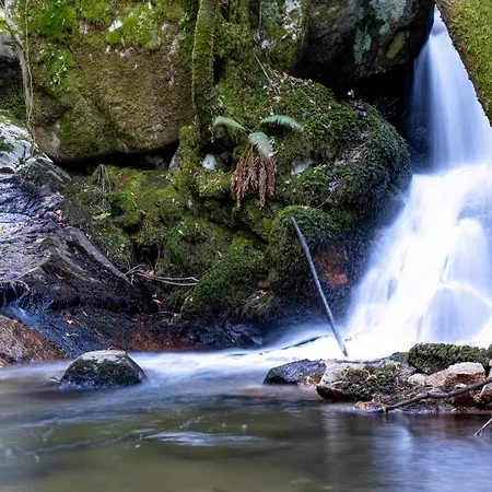 Semesterbostad Quinta Das Mirandas Nature