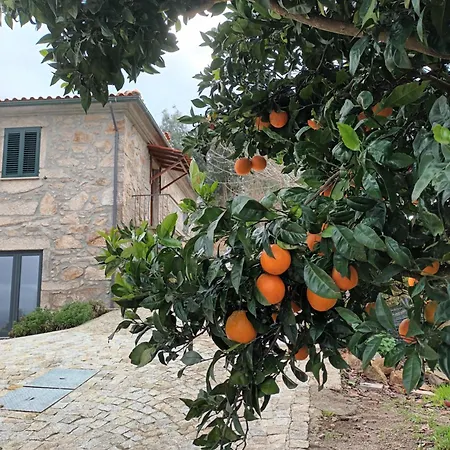 Quinta Das Mirandas Nature Vakantiehuis Oliveira de Frades