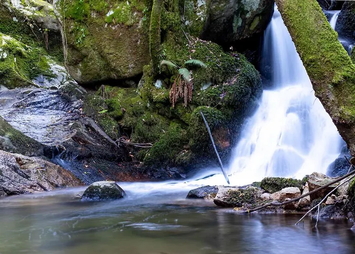 Casa vacanze Quinta Das Mirandas Nature
