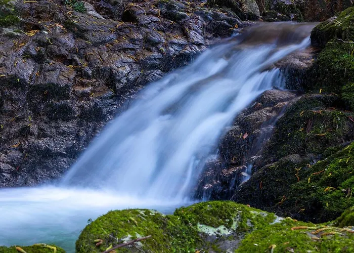 Quinta Das Mirandas Nature Casa vacanze Oliveira de Frades