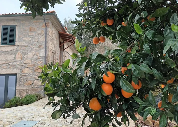 Quinta Das Mirandas Nature Vakantiehuis Oliveira de Frades